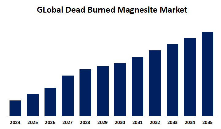 글로벌 소성 마그네사이트 시장